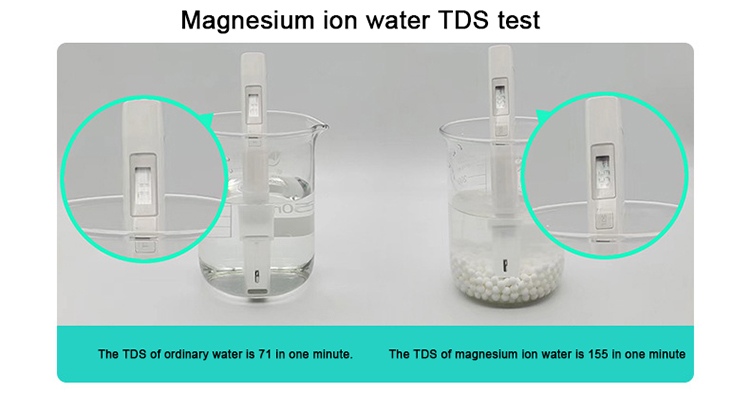 Magnesium ion experimental test